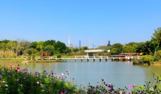 濕地景區(qū)生態(tài)因子監(jiān)測系統(tǒng)方案 保障景區(qū)生態(tài)系統(tǒng)健康可持續(xù)發(fā)展